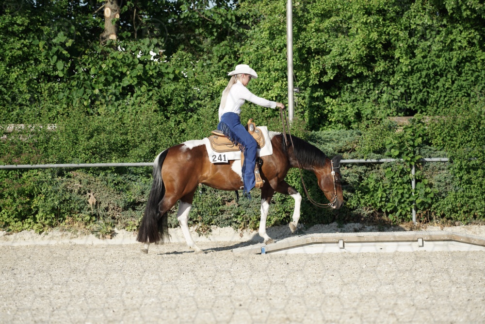 s_APF07134.jpg